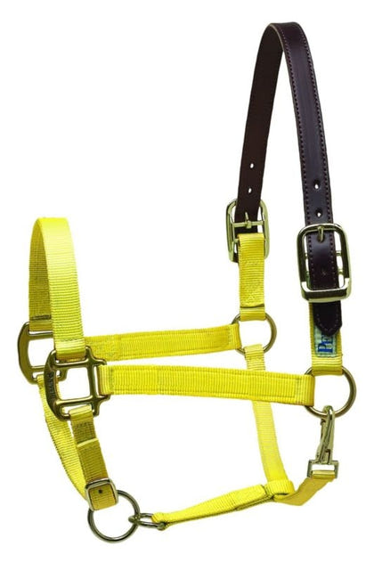 Perris Nylon Safety Halter