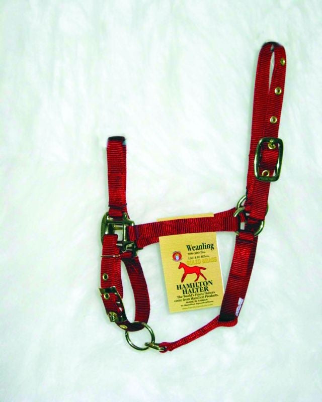 Hamilton Weanling Halter with Adjust Chin/Snap Red