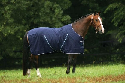 Rambo Stable Sheet