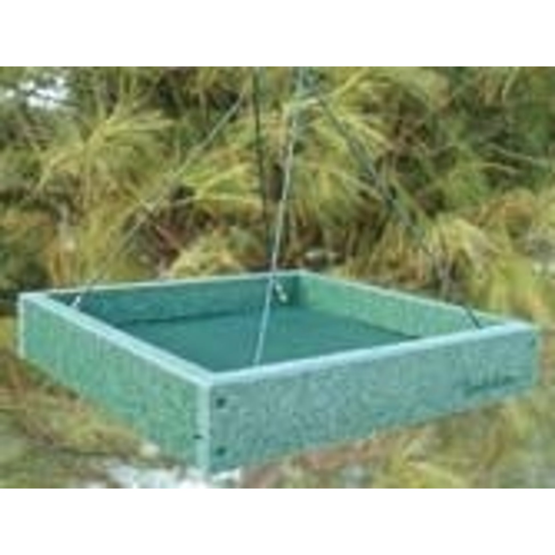 Woodlink Audubon Going Green Platform Feeder