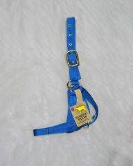 Cow Turn Out Halter 1in Blue