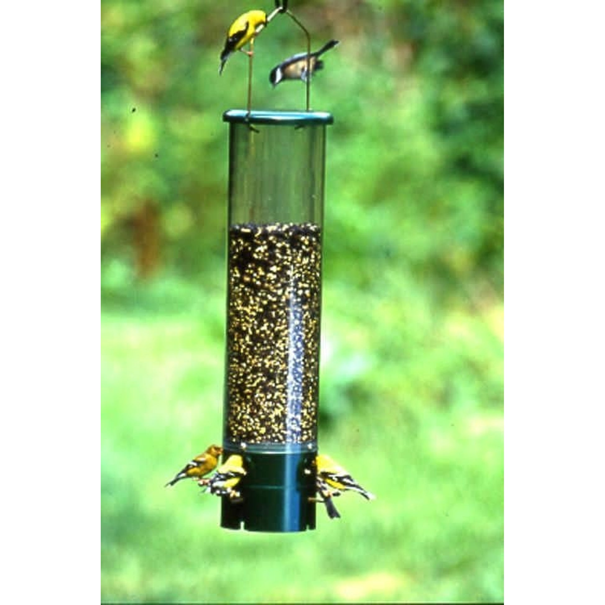 Varicraft The Bouncer Squirrel Proof Feeder