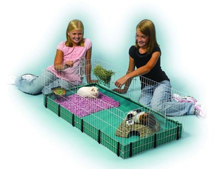 Midwest Guinea Habitat