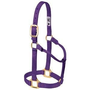 Weaver Org 3/4in Nylon Halter