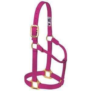 Weaver Org 3/4in Nylon Halter
