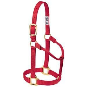 Weaver Org 3/4in Nylon Halter