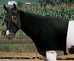 Weaver EquiSkinz Lycra Hood