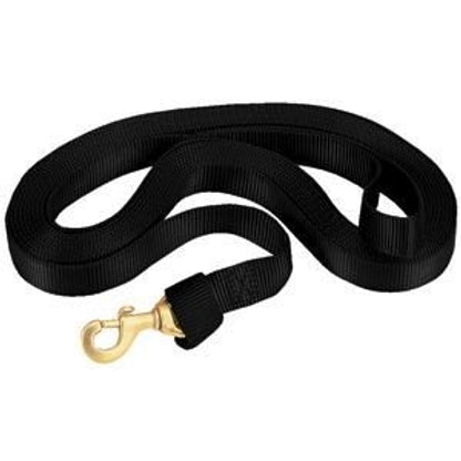 Weaver Flat Nylon Lunge Line with Brass Snap