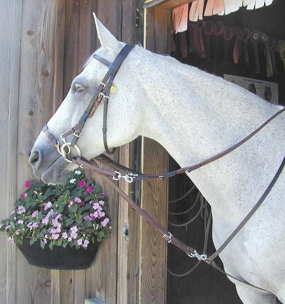 Nunn Finer German Martingale Rein Set 5/8 x 24 Brn