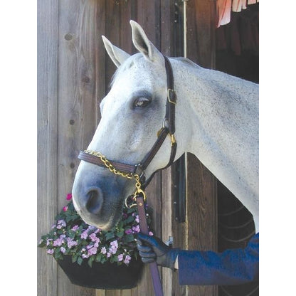Nunn Finer Leather Shank Horse Brn