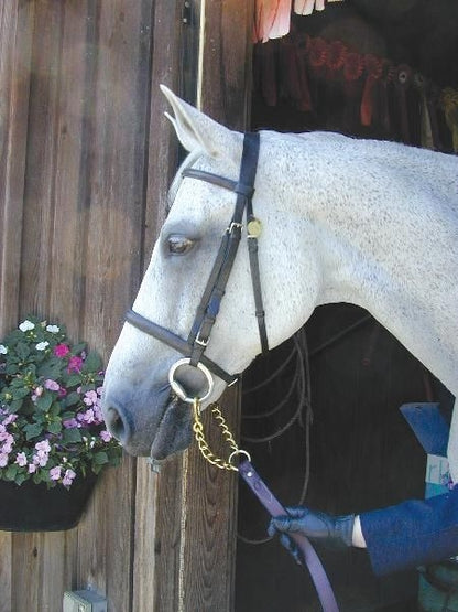 Nunn Finer Newmarket Shank Horse Brn