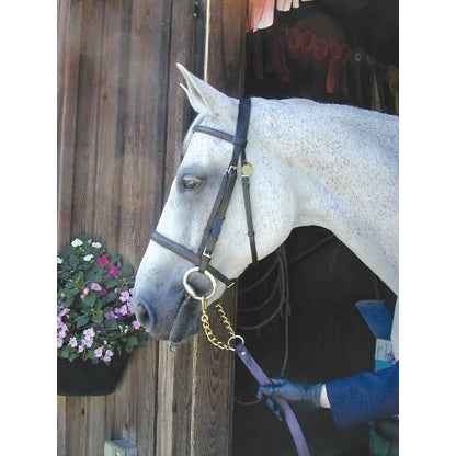 Nunn Finer Newmarket Shank Horse Brn