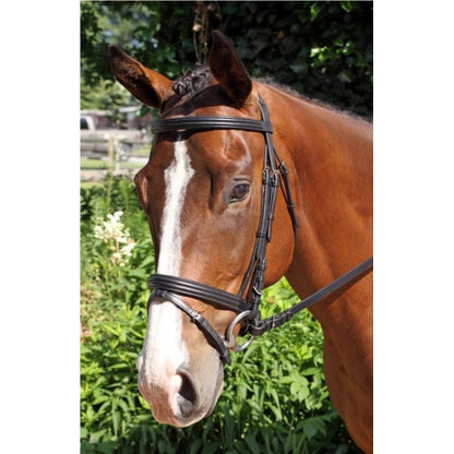 Nunn Finer Gifted Bridle Oversize Black