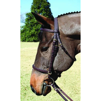 Nunn Finer Event Bridle Cob Blk/Brass