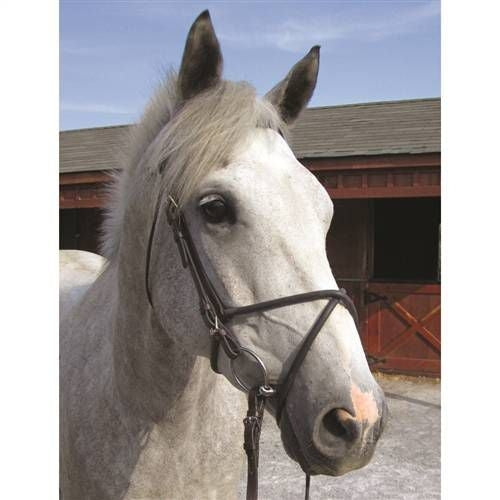 Nunn Finer Rubber Figure 8 Noseband Cob Black/Zinc