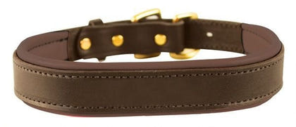 Perris Padded Leather Dog Collar