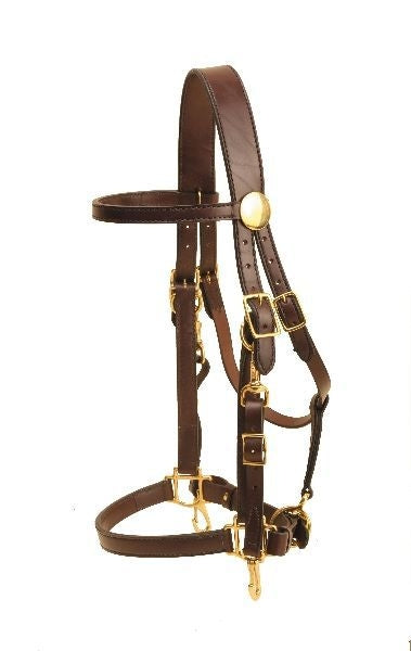 Tory Heavy Duty Halter/Bridle Combo Horse Bk/Gry