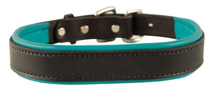 Perris Padded Leather Dog Collar