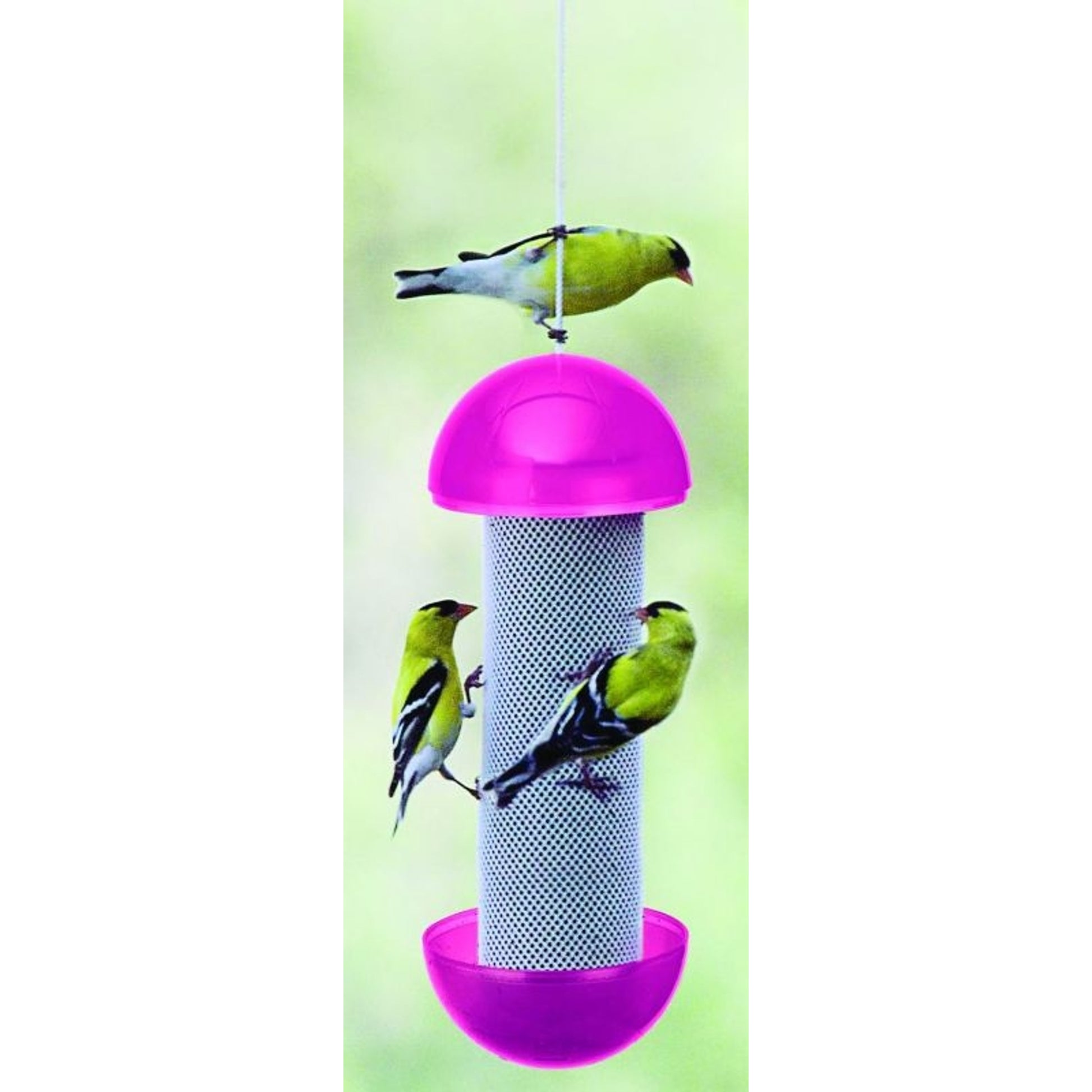 Heritage Farm Have-A-Ball Finch Feeder Assorted