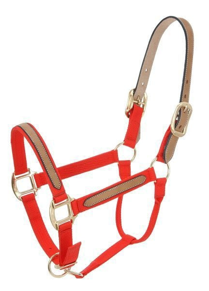 Tough1 Nylon Breakaway Halter 6 Pack Assorted