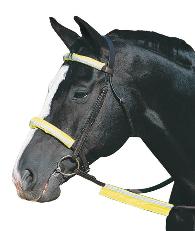 Roma Reflective Bridle Kit