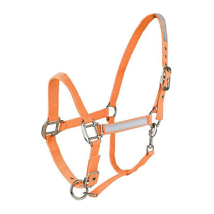 HorZe Reflective Halter Cob Orange