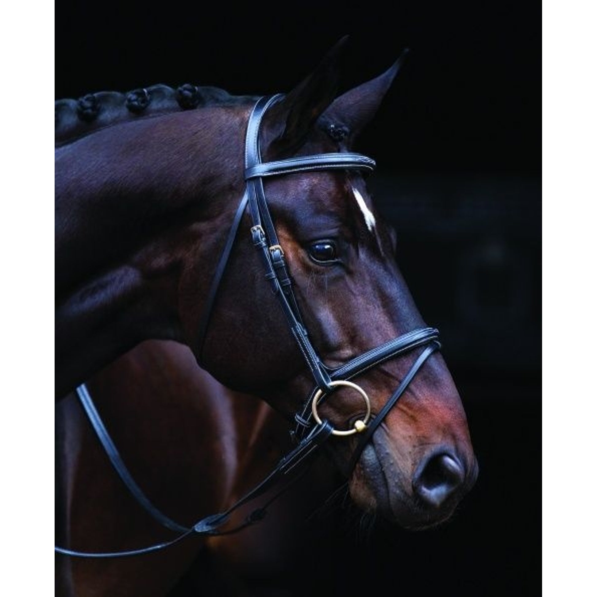 Amigo Deluxe Bridle Pony Black
