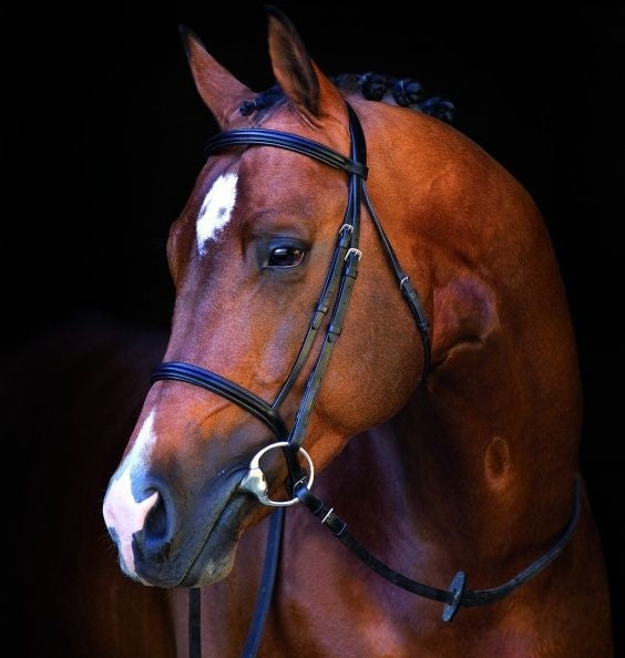 Horseware Mio Bridle Lg Horse Black