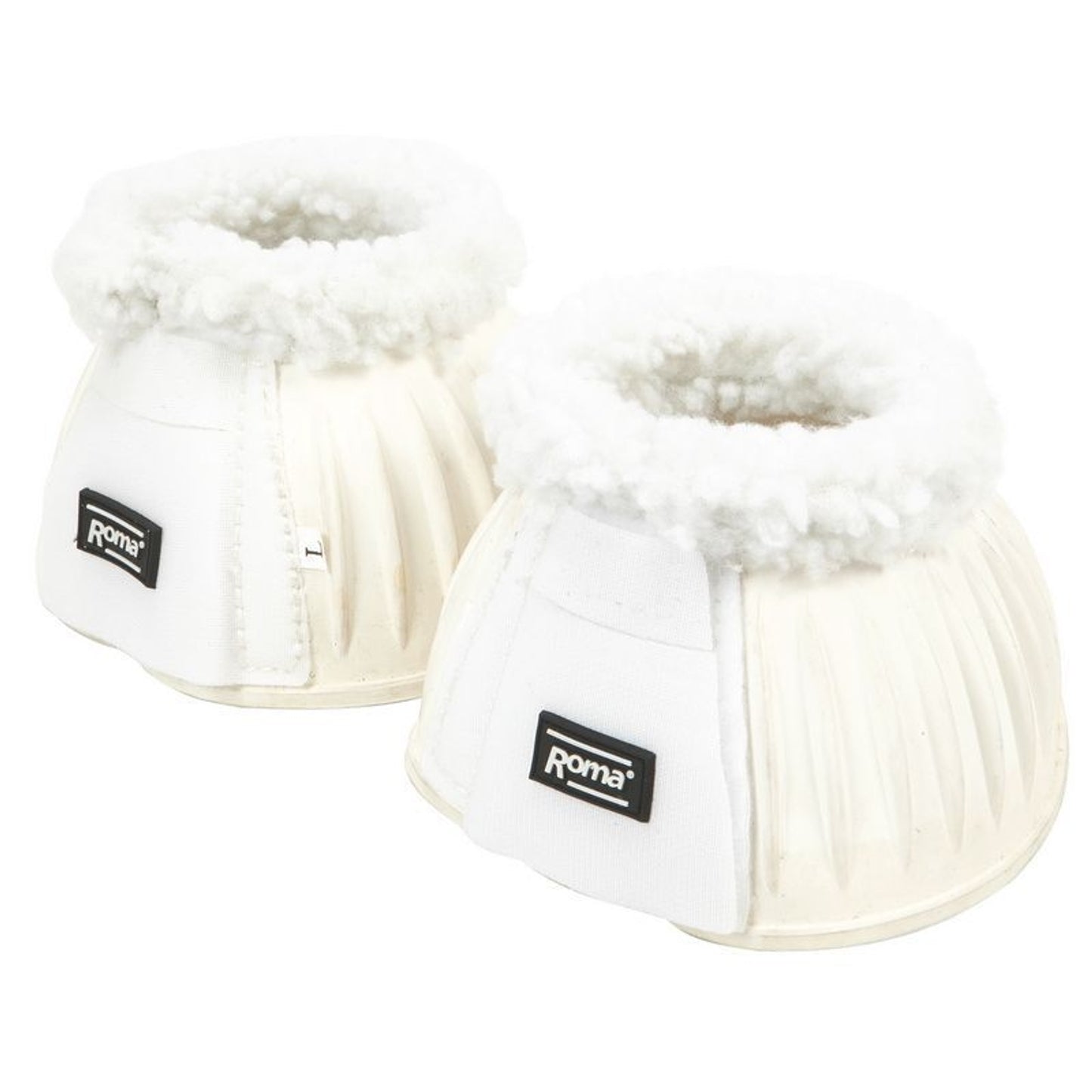 TH800826.jpg