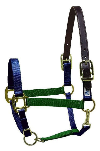 Perri's Color Vision Halter