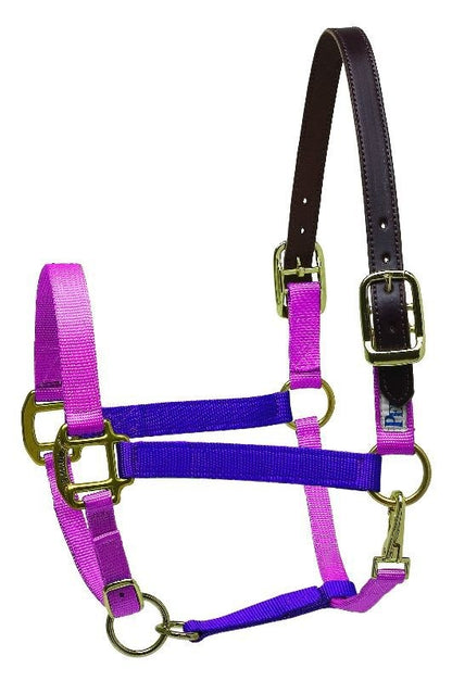 Perri's Color Vision Halter