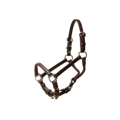 Show Halter - Nickel Hardware/Chain Lead Weanl Blk