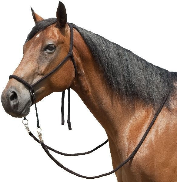 Bitless Bridle With Flat Braided Reins Horse Black