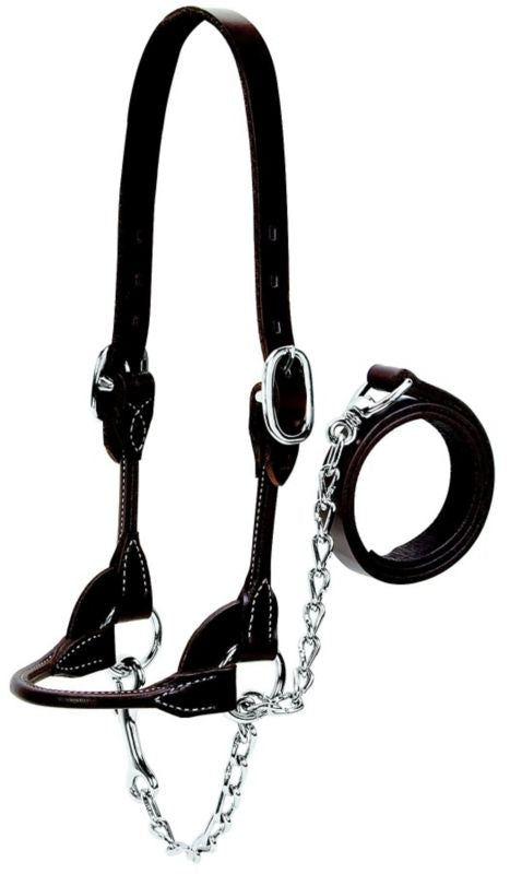 Weaver Leather Cattle Rounded Show Halter XL Brown