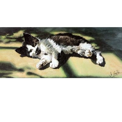 A Lazy Afternoon By Jo Campin 11.75x5