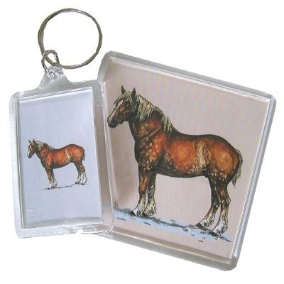 Accessory Bag Clip Strip