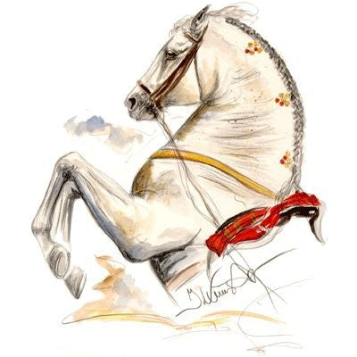 Ayamonte Lipizzan Jan Kunster Matted 15.75x19.75