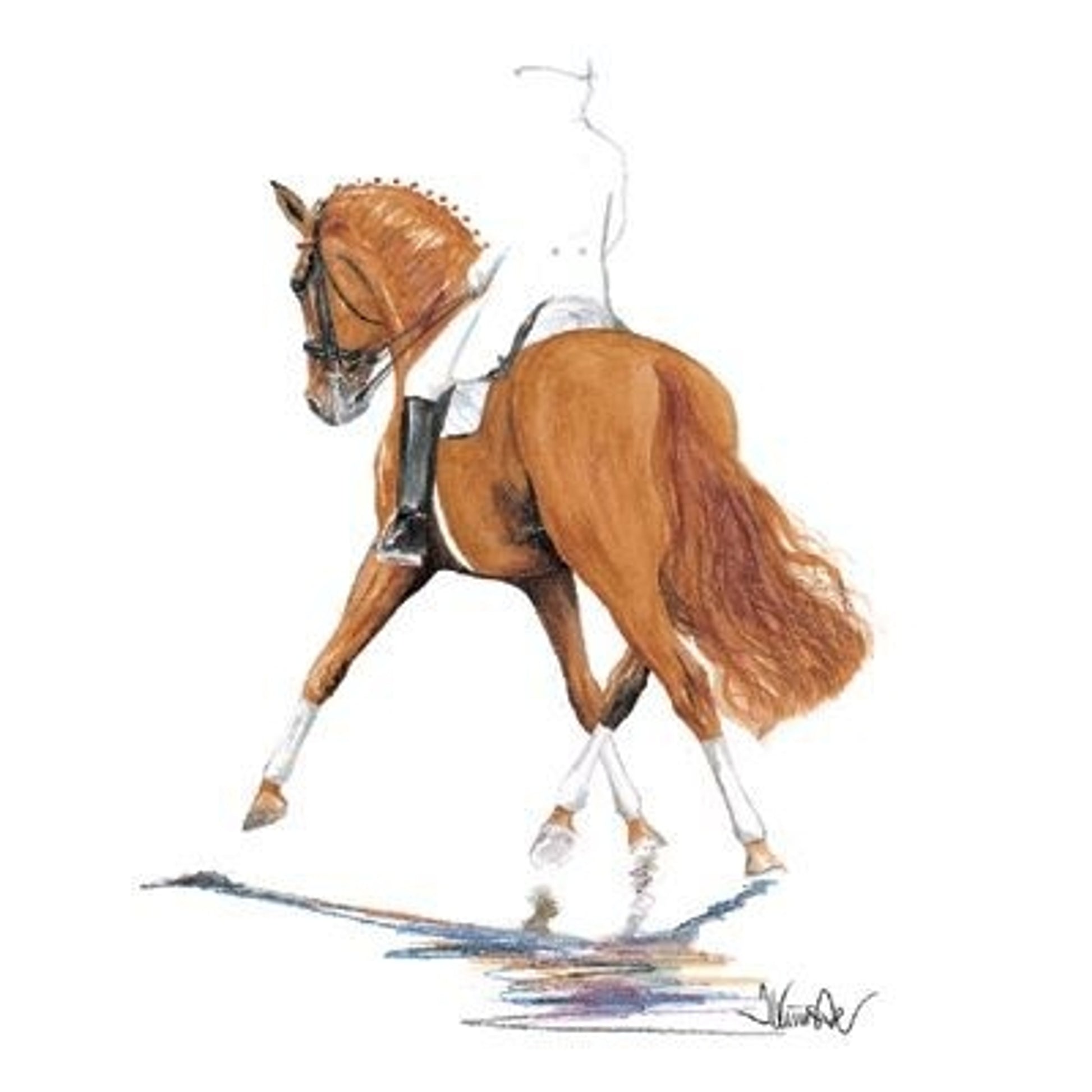 Bernstein Dressage 19.75x27.5