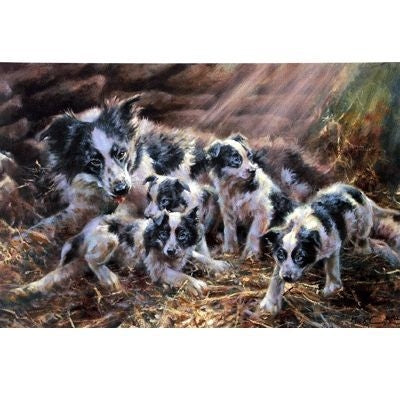 Border Family By Mick Cawston 15x10