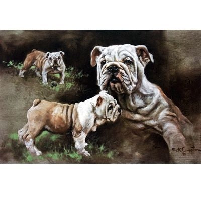 Born to Rule By Mick Cawston 16.25x10.75