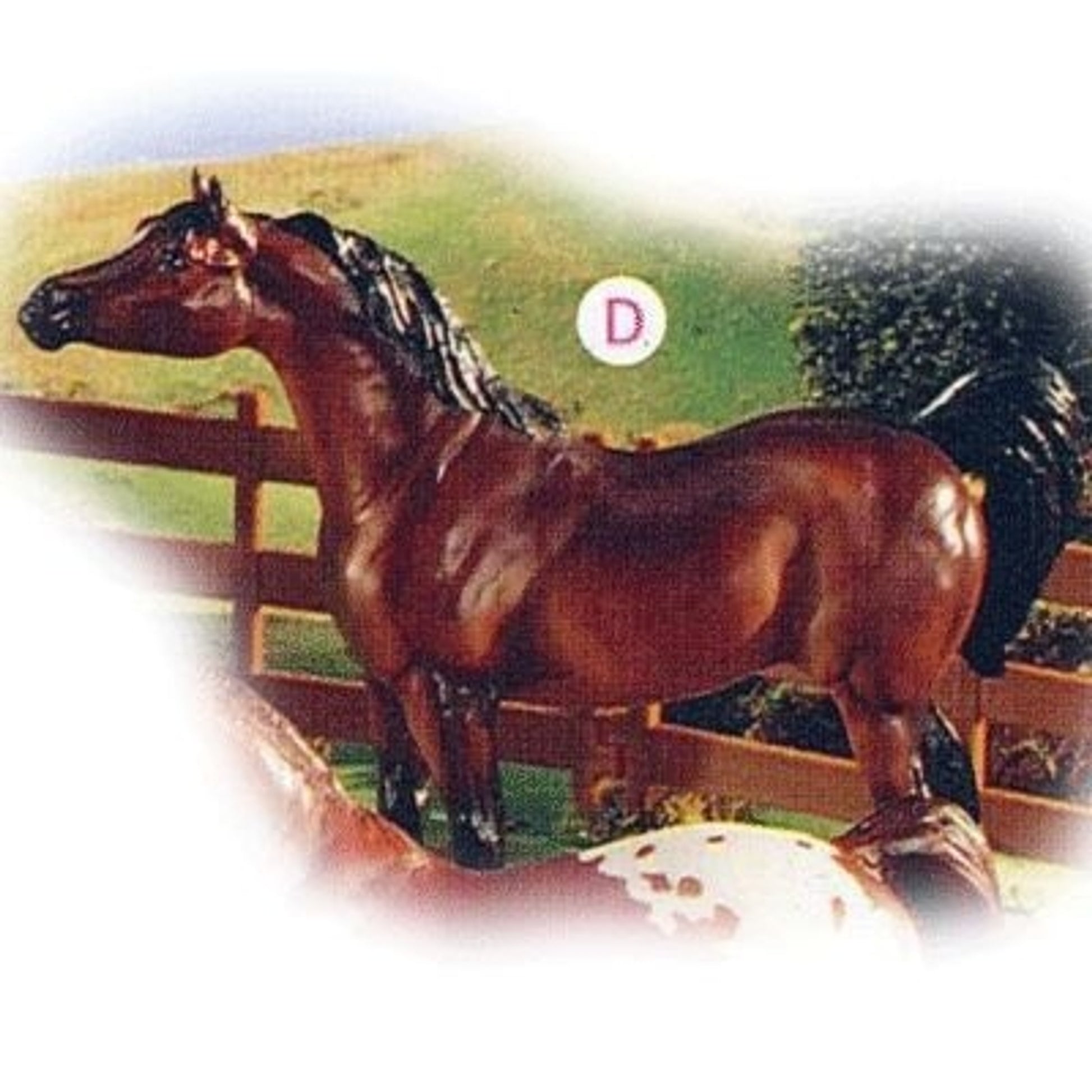 Breyer Classics Bay Arabian 7in