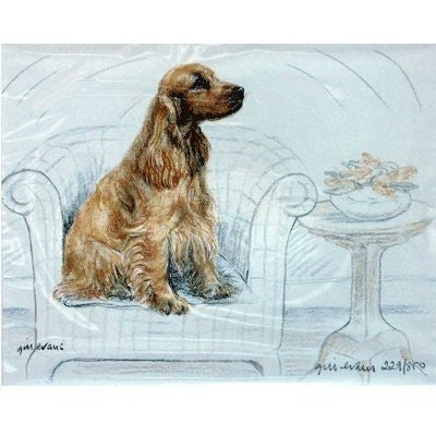 Cocker Spaniel By Gill Evans Matted 12.75 x 10.75