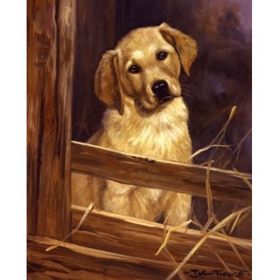 Come and Play with Me By John Trickett 11 x 13.5