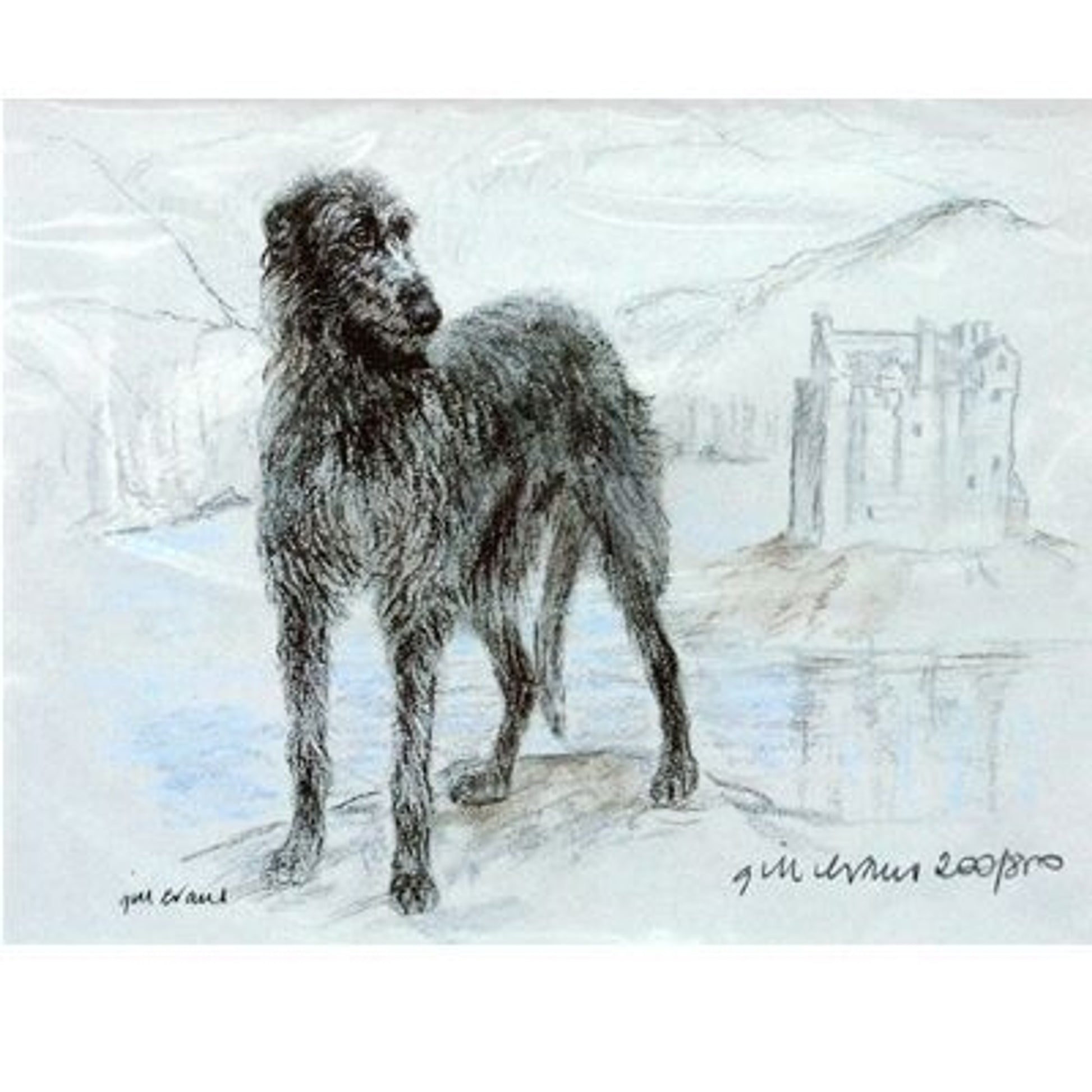 Deerhound By Gill Evans Matted 12.75 x 10.75