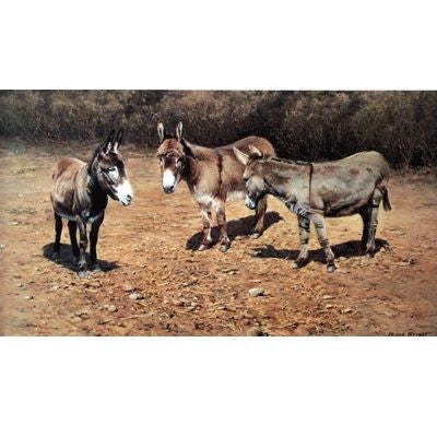 Donkey Serenade By Frank Wright 9.75 x 5.5