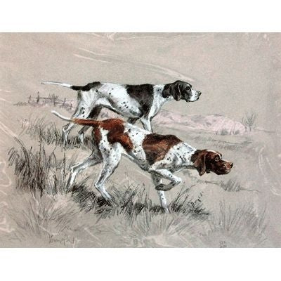 English Pointers Matted 12.75 x 10.75