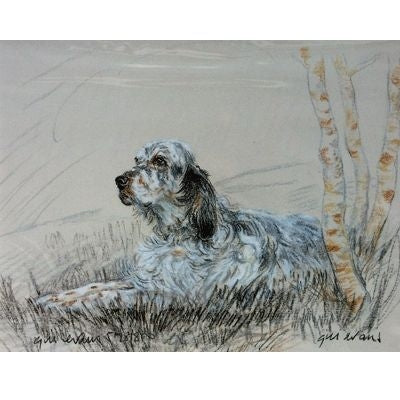 English Setter By Gill Evans Matted 12.75 x 10.75