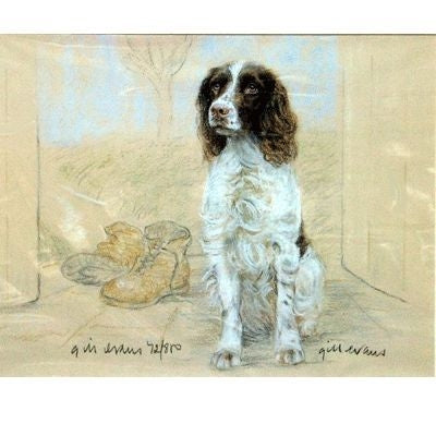 English Springer Spaniel By Gill Evans 12.75x10.75