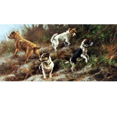 Every Which Way By Mick Cawston 12 x 5
