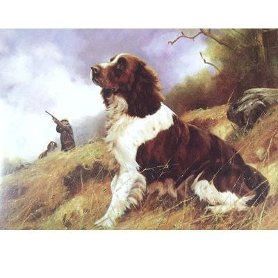 English Springer Blank Greeting Cards - 6 Pk 5 x 7